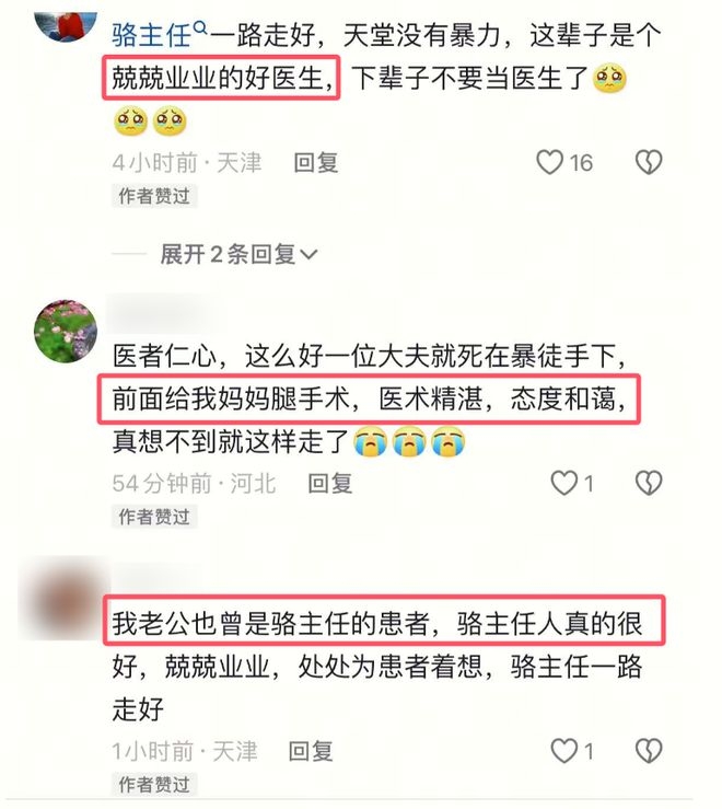 網友對駱巍醫生被殺害表示哀悼。