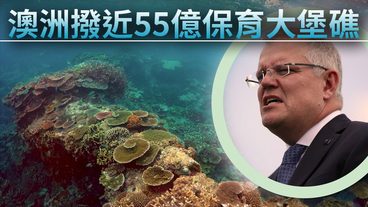 反對派批評,向大堡礁增撥款項是莫里森在臨近大選前的選舉工程之一。資料圖片