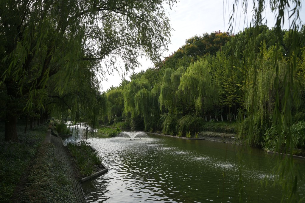 杭州電子科技大學體育館，周圍多靚景。