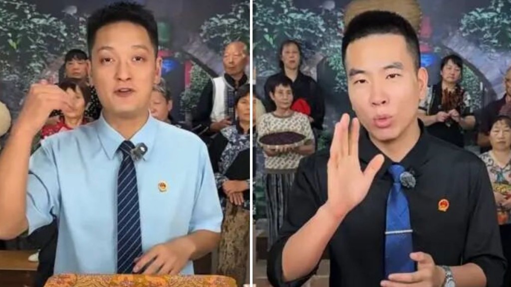 内地传媒揭发有人假冒村官网上推锁农产品。微博@冀安在线