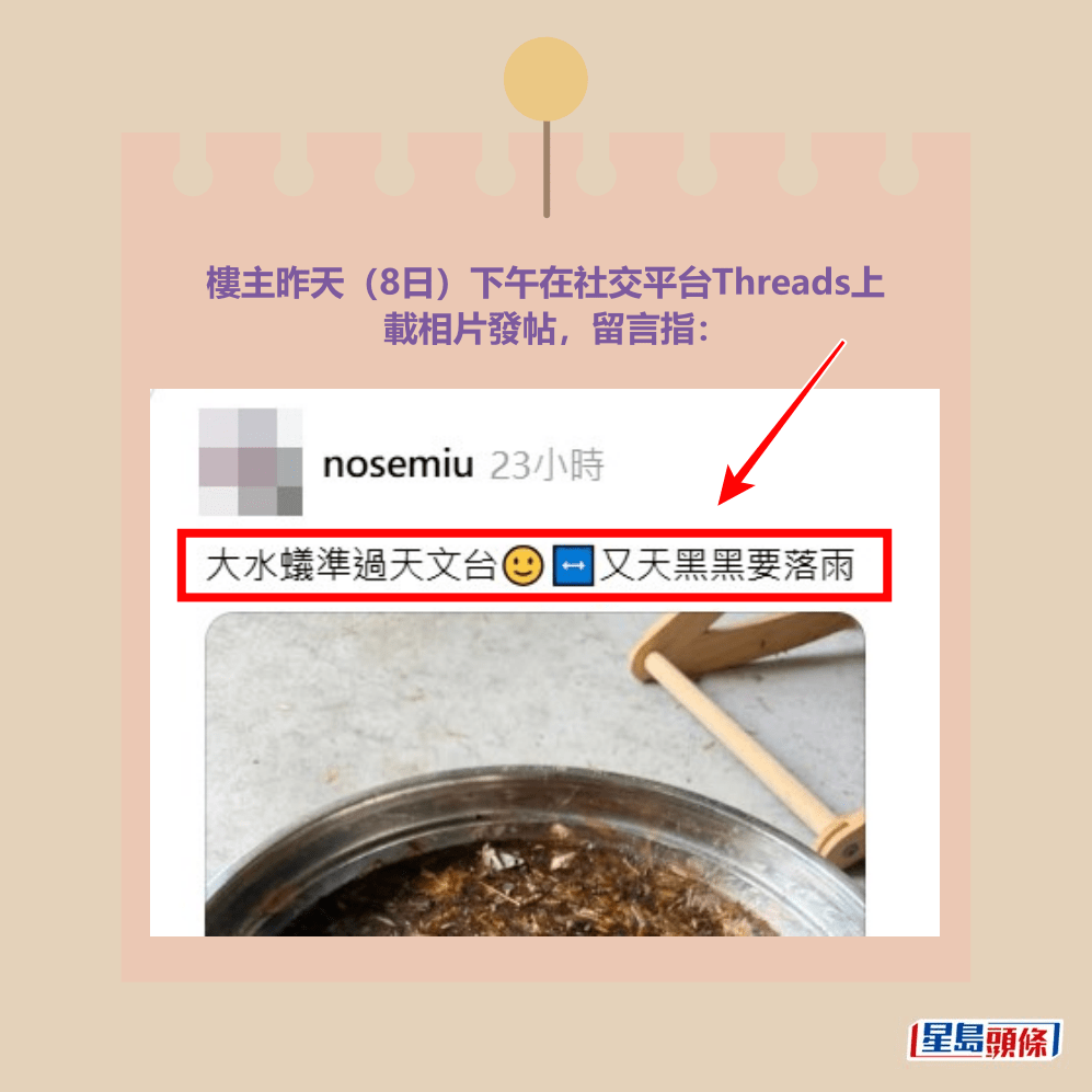 Threads截圖（資料來源：nosemiu＠Threads）