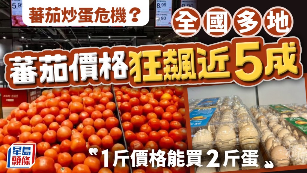 多地蕃茄價格不斷上漲。