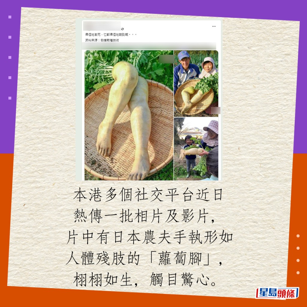 本港多个社交平台近日热传一批相片及影片，片中有日本农夫手执形如人体残肢的“萝卜脚”，栩栩如生，触目惊心。