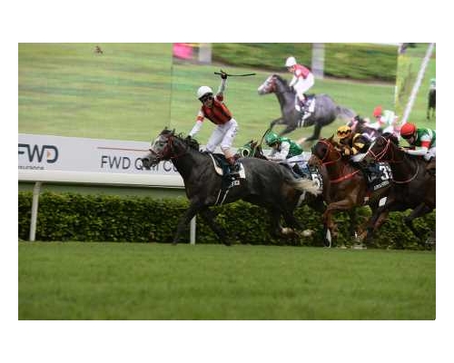 當全球大部分馬場停擺之際,香港仍可「馬照跑」(資料圖片)