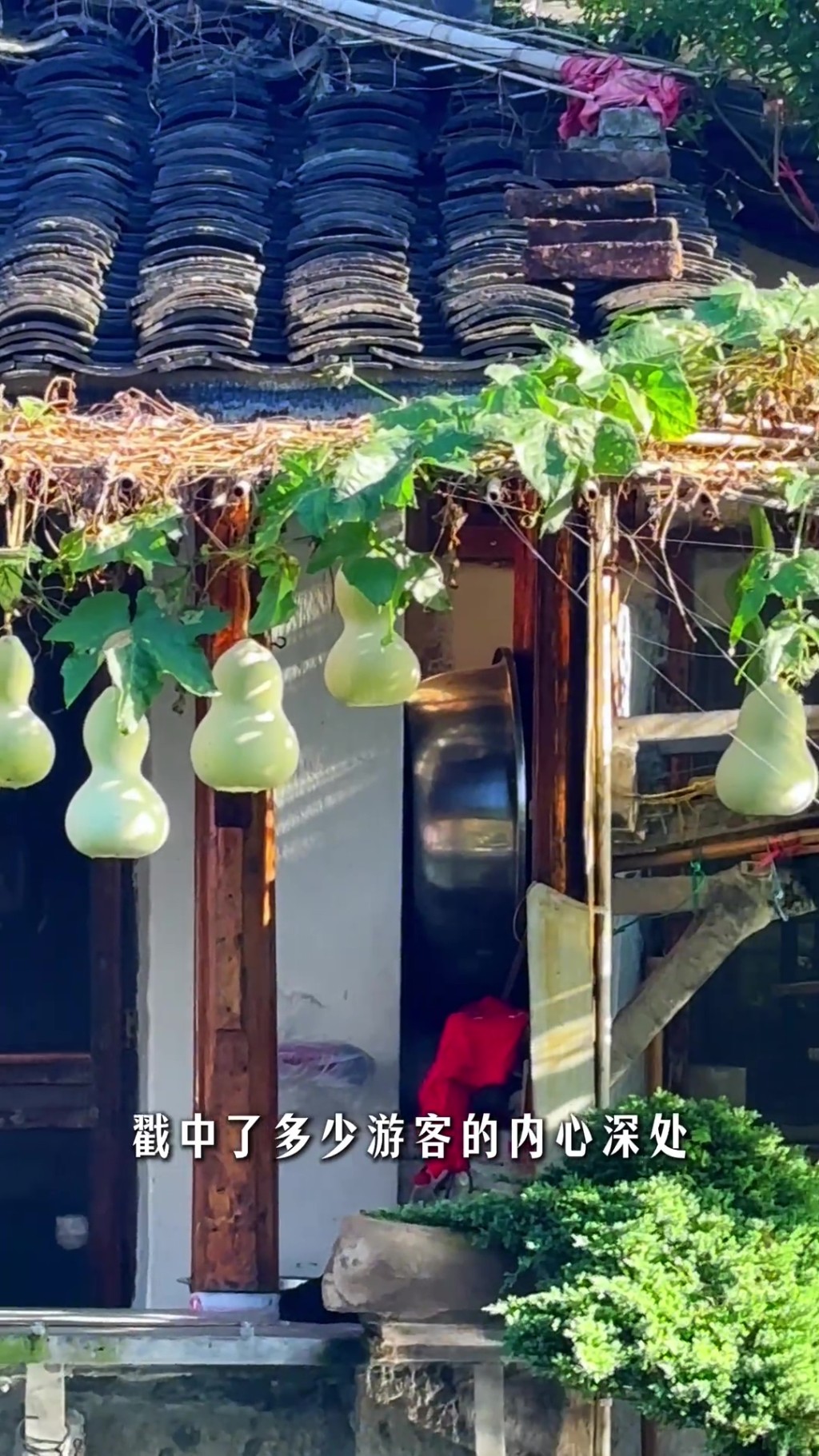 浙江紹興近日出現「現實版葫蘆娃與爺爺」，當地文旅也有介紹。