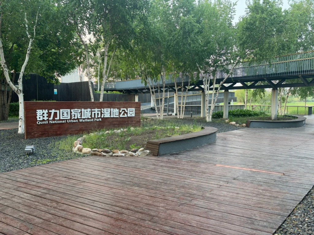 俞孔堅代表作品之一的哈爾濱群力濕地公園。小紅書＠追風