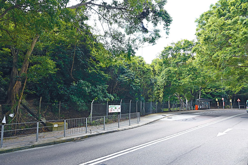 赤柱環角道豪宅地將於今日截標,業界料財團出價審慎及保守。