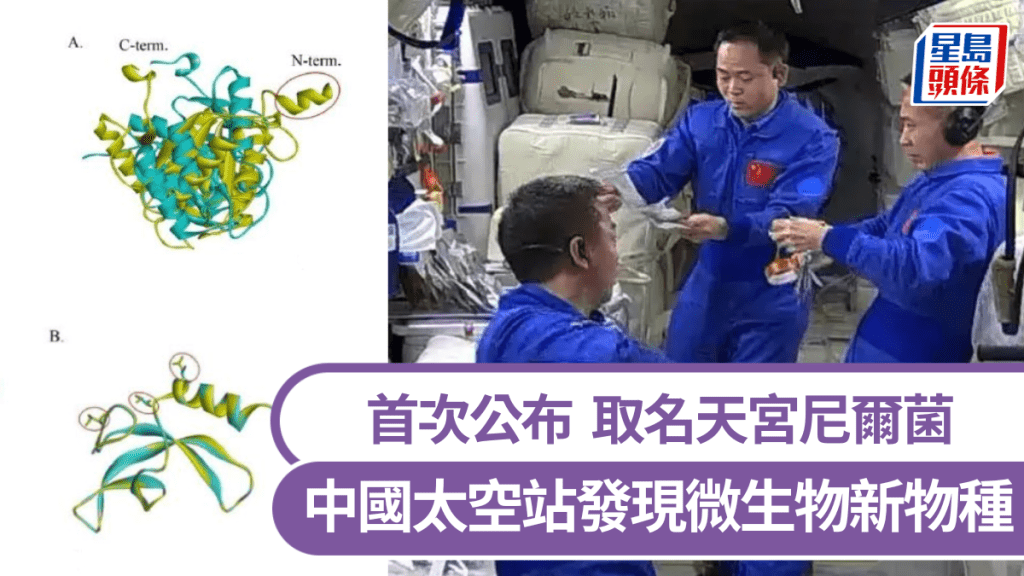 中國太空站發現微生物新物種,取名天宫。