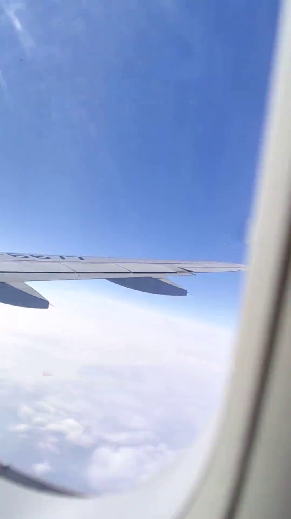 乘客拍下飛機遇上強氣流翅膀發生震動。