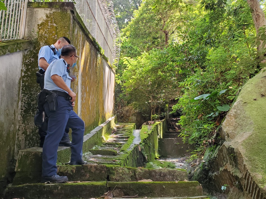 警員在後山發現野豬屍體。