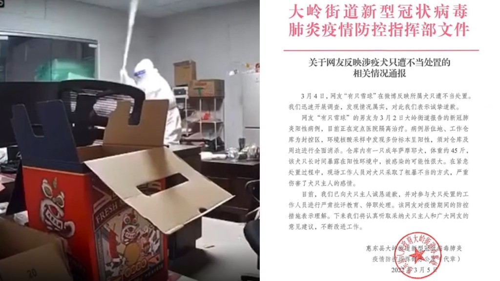 惠东县防疫部门表示已向狗主道歉，涉事工作人员停职。网图