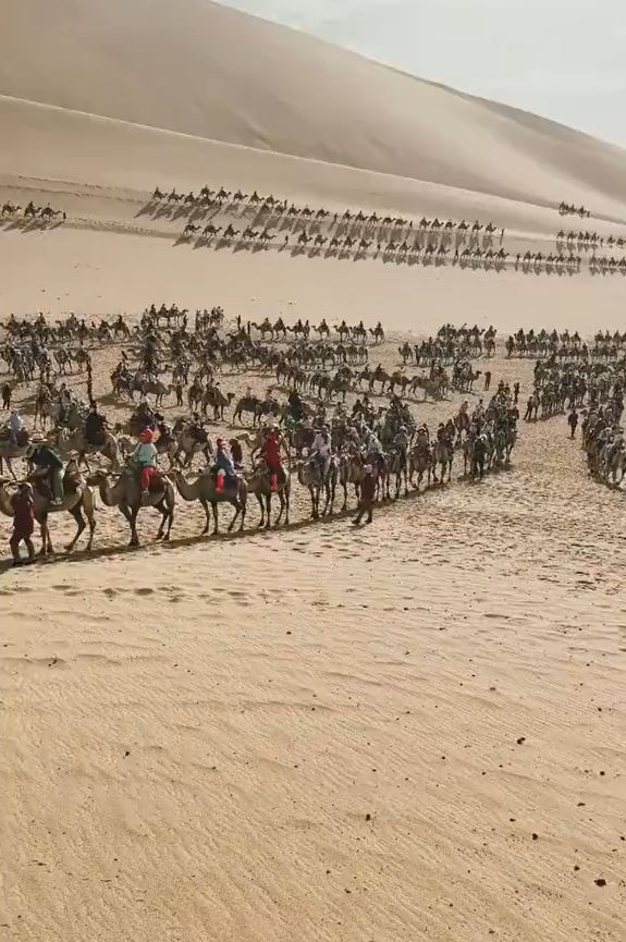 數百計的遊客騎著駱駝遊覽敦煌，令當地出現「塞駱駝」奇景。影片截圖