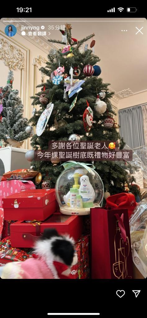 吳若希亦於家中擺放了大棵聖誕樹。