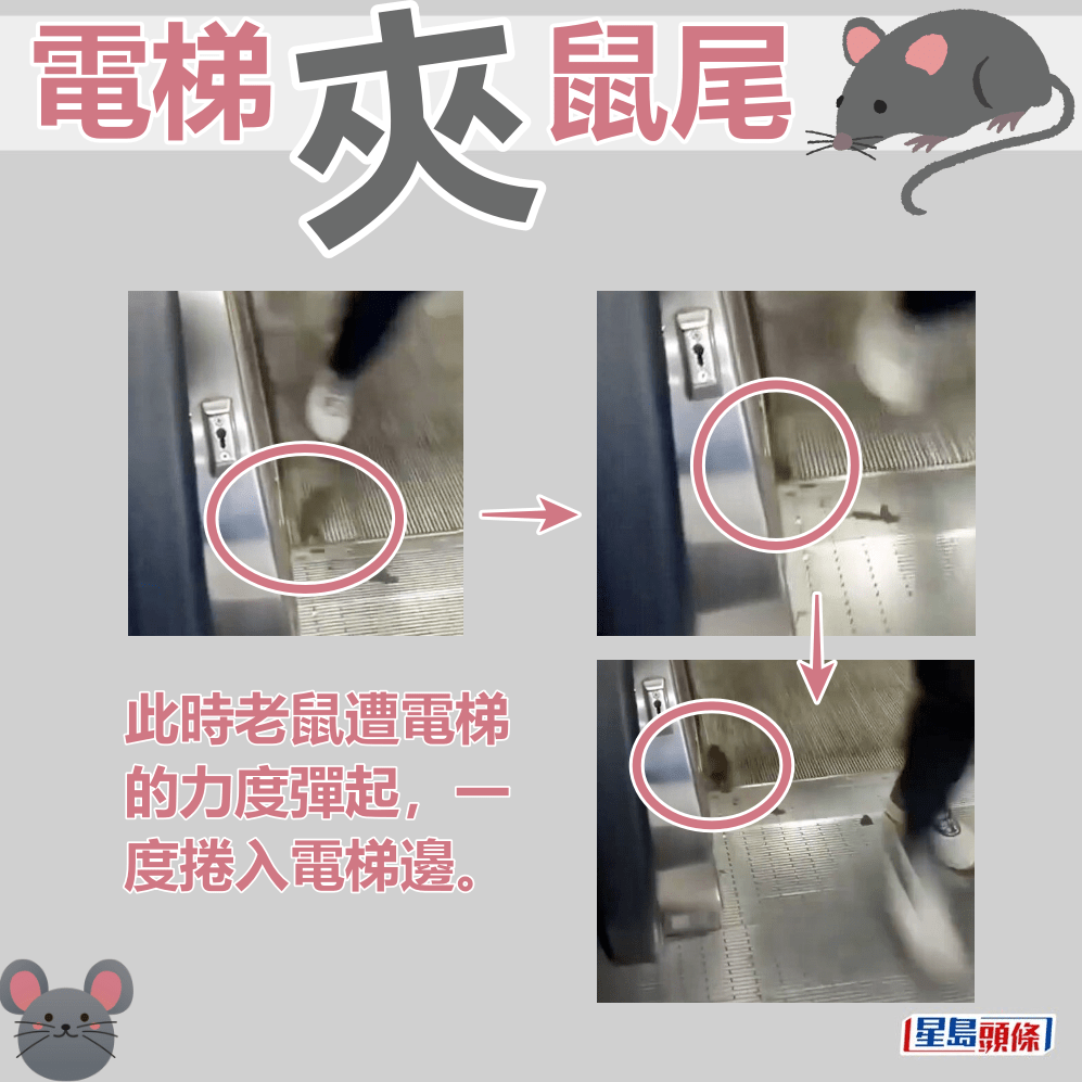 此時老鼠遭電梯的力度彈起，一度捲入電梯邊。fb「屯門友」截圖