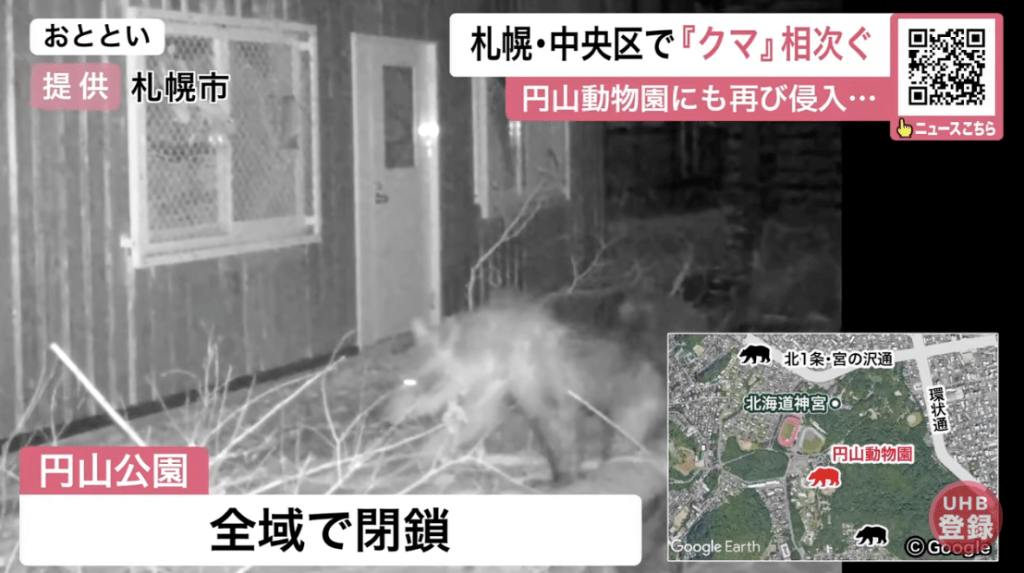 居民目擊一頭約一米長的熊出沒，留下多處痕跡。Youtube@北海道ニュースUHB 