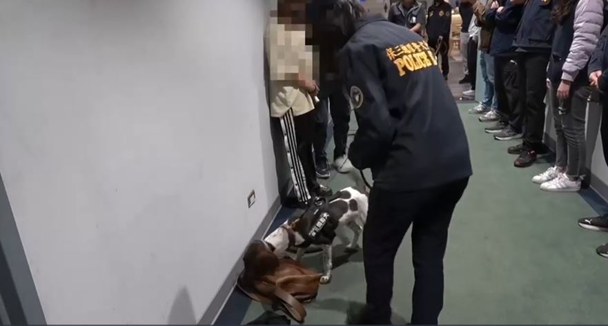 缉毒犬揭发女子身上藏有毒品。