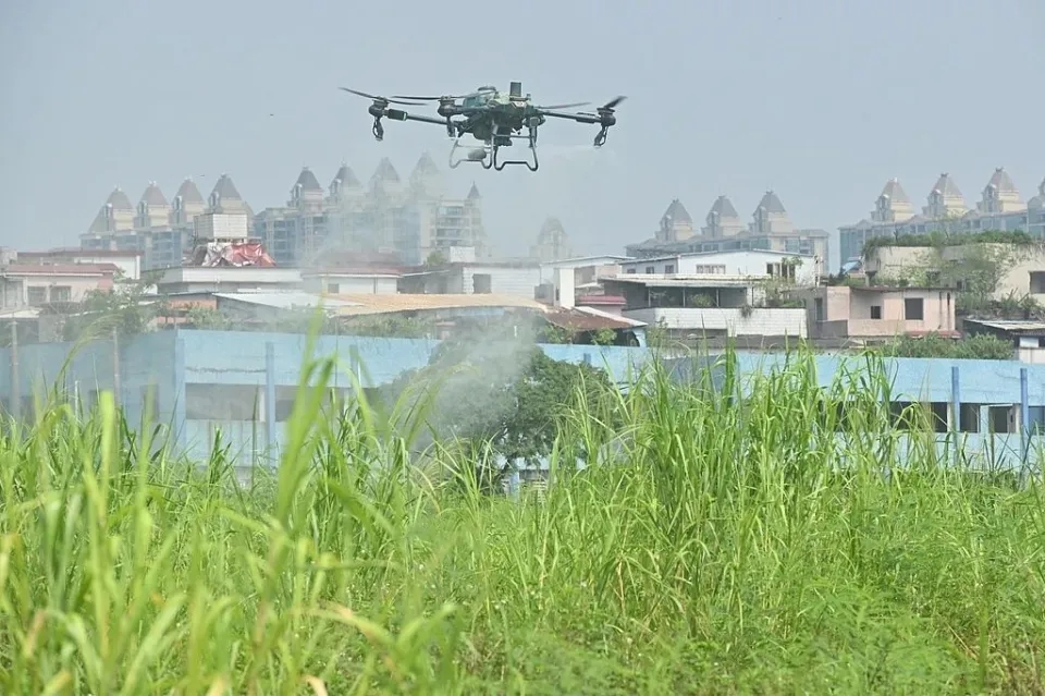 8月1日，廣州市荔灣區開展無人機滅蚊行動。
