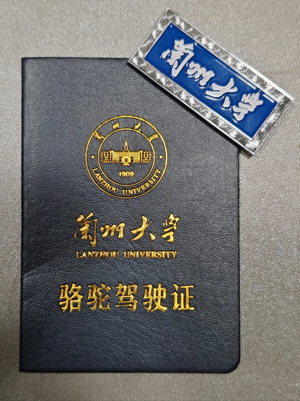 蘭州大學的駱駝駕駛證。小紅書@路小路的路 蘭州大學的駱駝駕駛證。小紅書@路小路的路