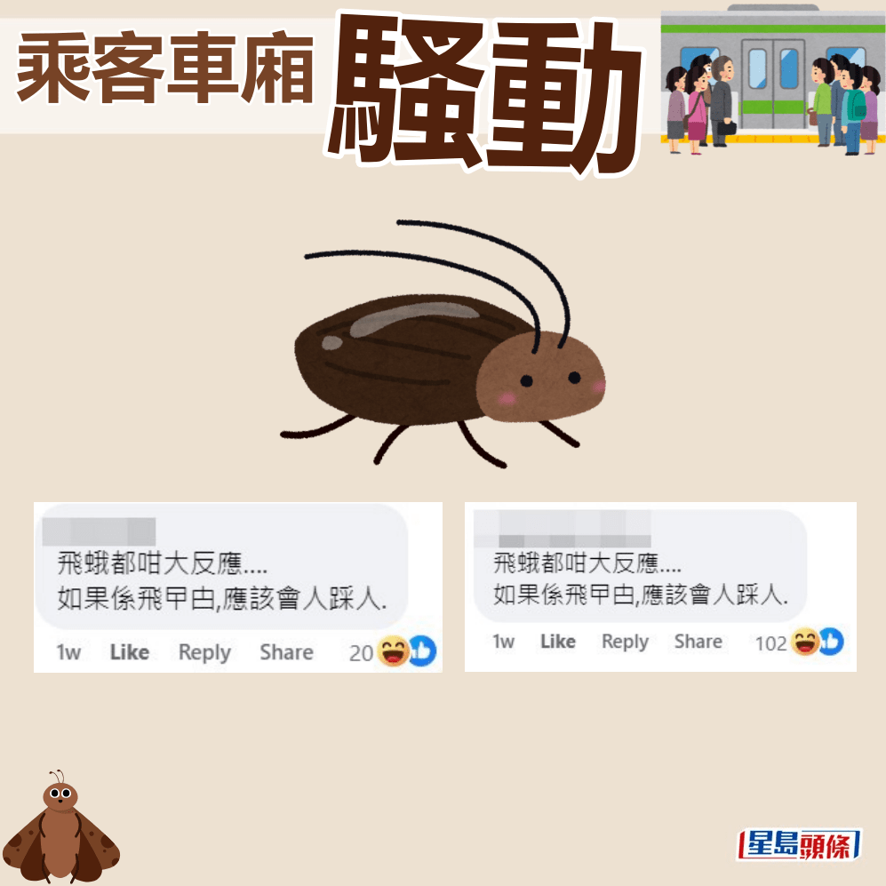 网民：飞蛾都咁大反应…如果系飞曱甴，应该会人踩人。fb「车cam L（香港群组）」截图