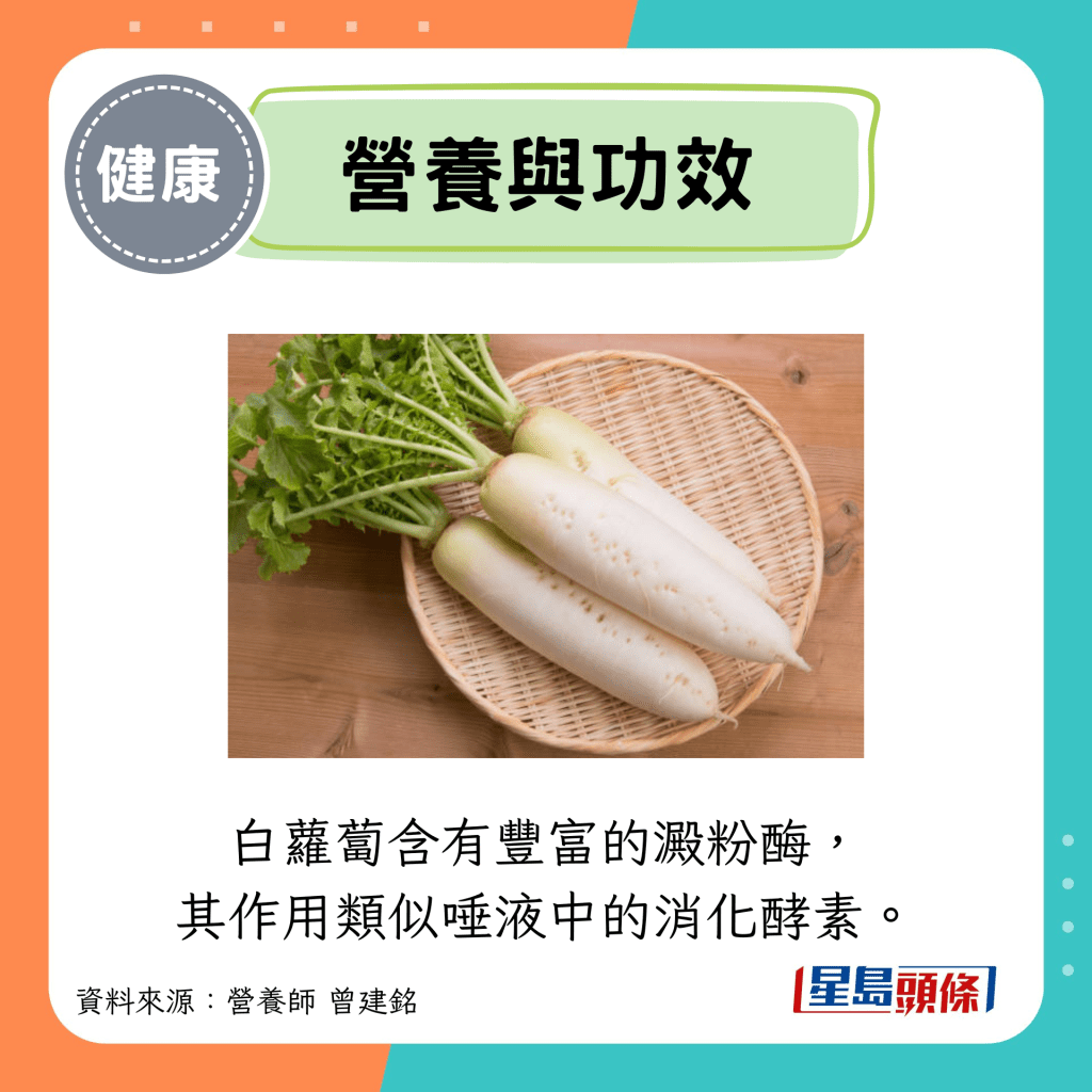 營養與功效：白蘿蔔含有豐富的澱粉酶， 其作用類似唾液中的消化酵素。