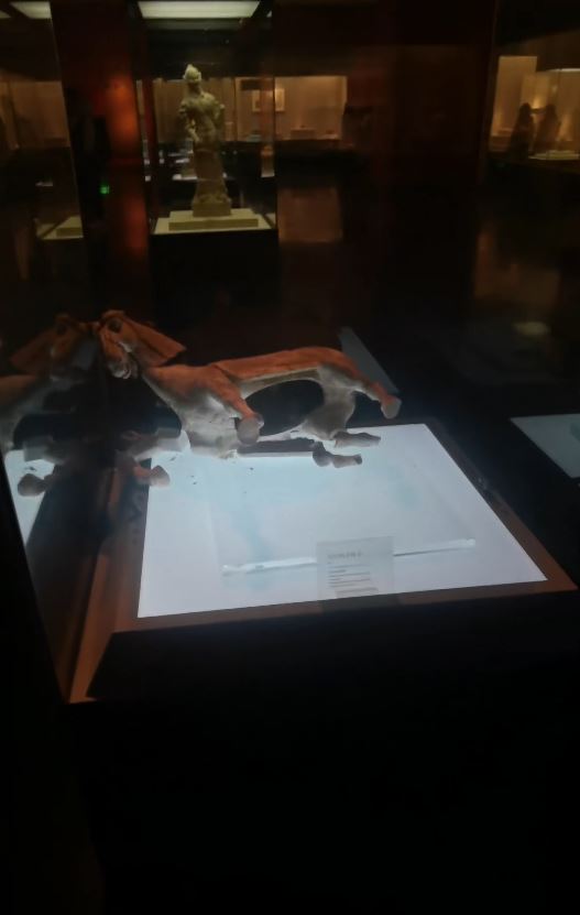 洛陽博物館的唐代陶馬在展示櫃內跌倒碎裂。抖音＠徐曉媛有泡菜