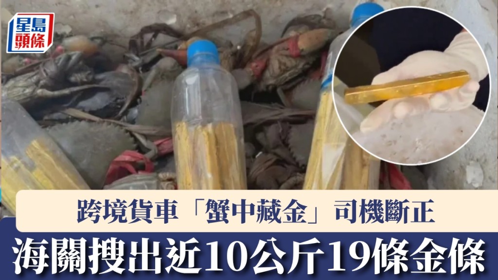跨境貨車司機「蟹中藏金」深圳灣口岸斷正，海關搜出近10公斤19條金條。