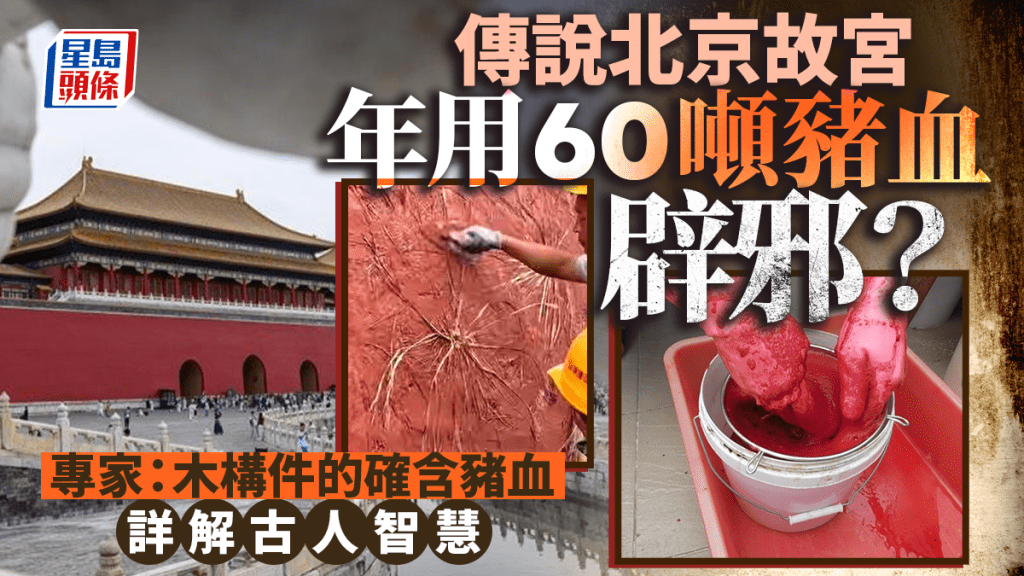 網傳故宮用豬血辟邪，專家澄清是建築智慧。 