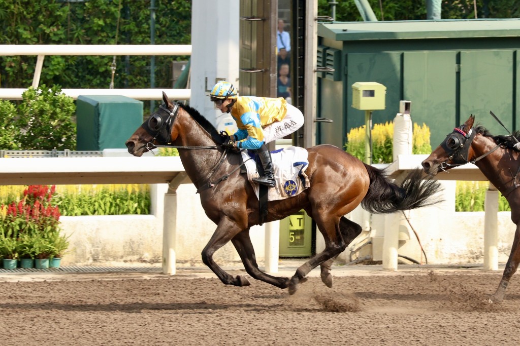 「先生」系的 「勁先生」早前在沙田贏馬。