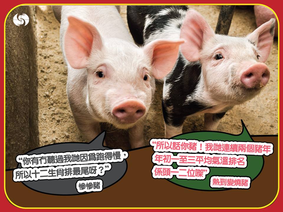 天文台facebook圖片