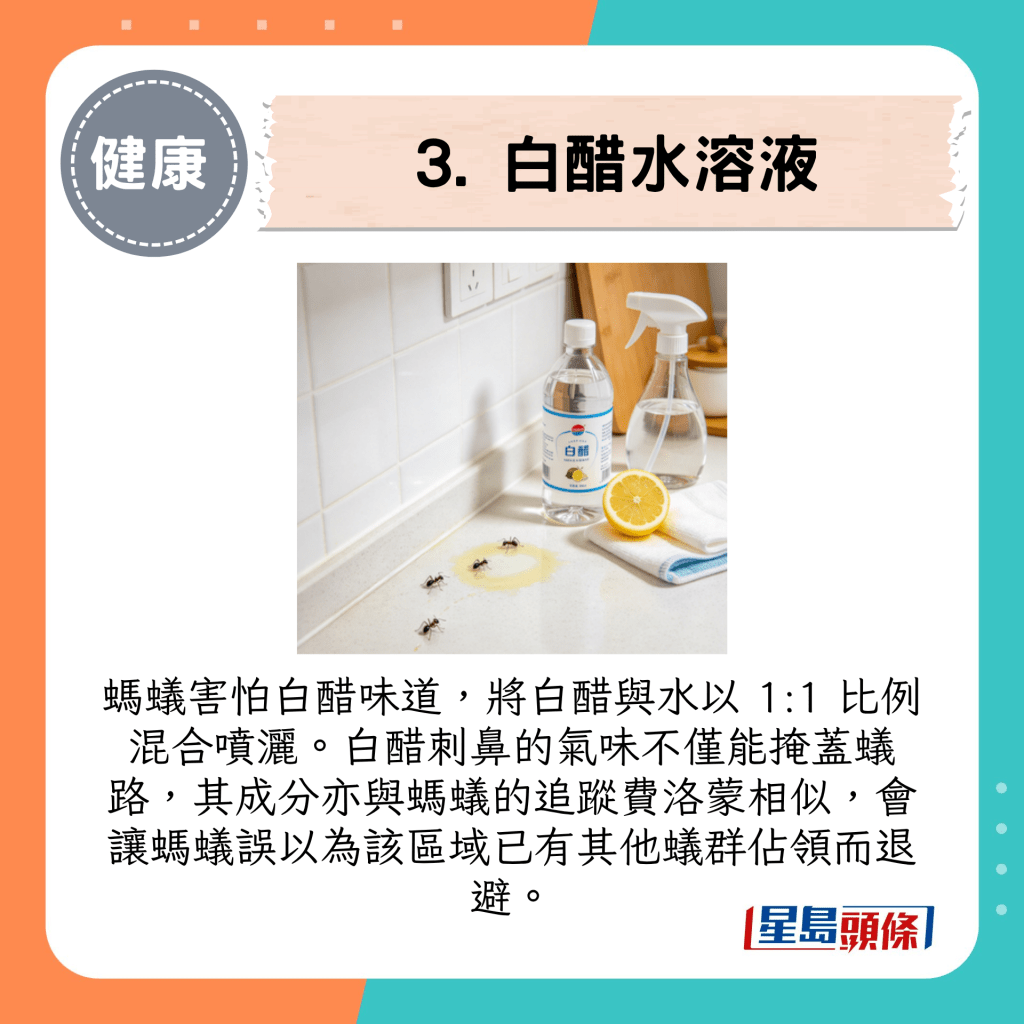 3. 白醋水溶液