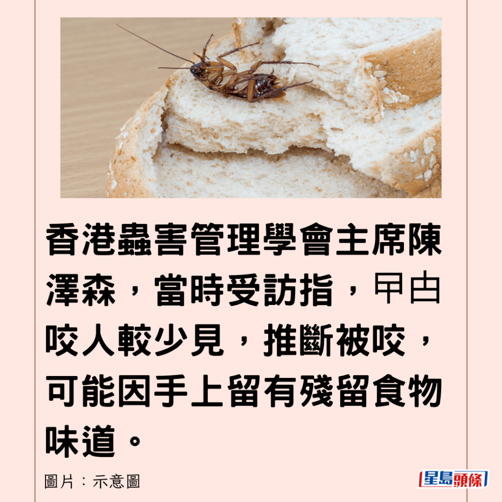 香港虫害管理学会主席陈泽森，当时受访指，曱甴咬人较少见，推断被咬，可能因手上留有残留食物味道。