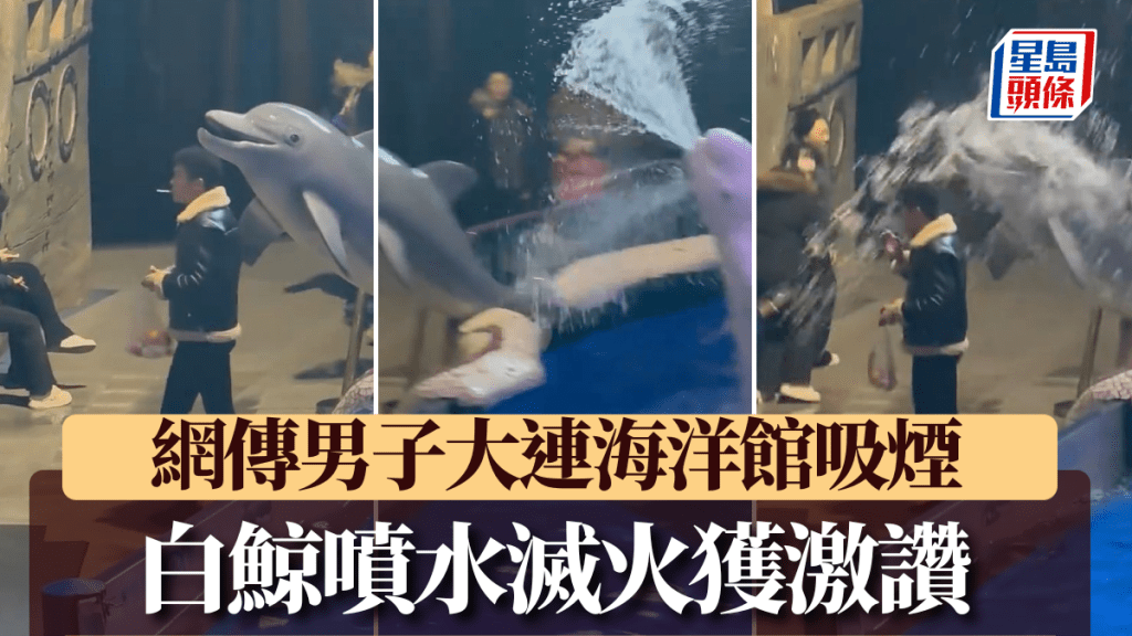 網傳影片見白鯨噴水澆熄男子口中的香煙。