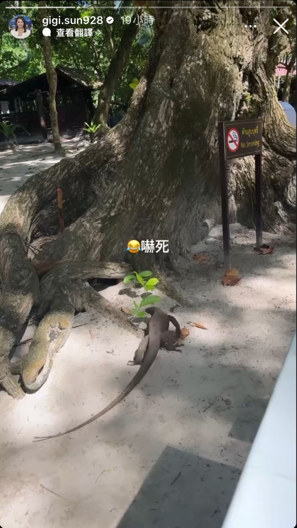 孫雪祺在小島上遇到巨蜥，見慣大場面的她也不禁驚呼「嚇死」。