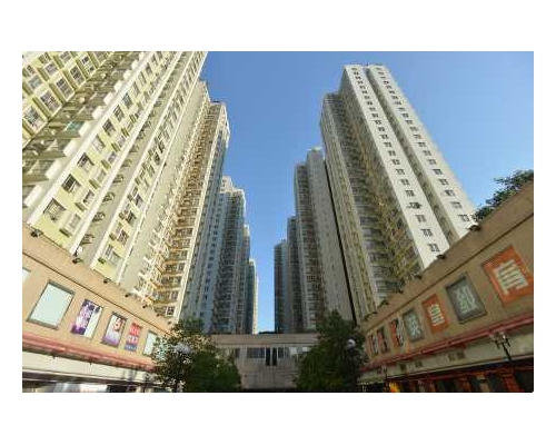 粉嶺中心兩房戶以每呎29元租出。