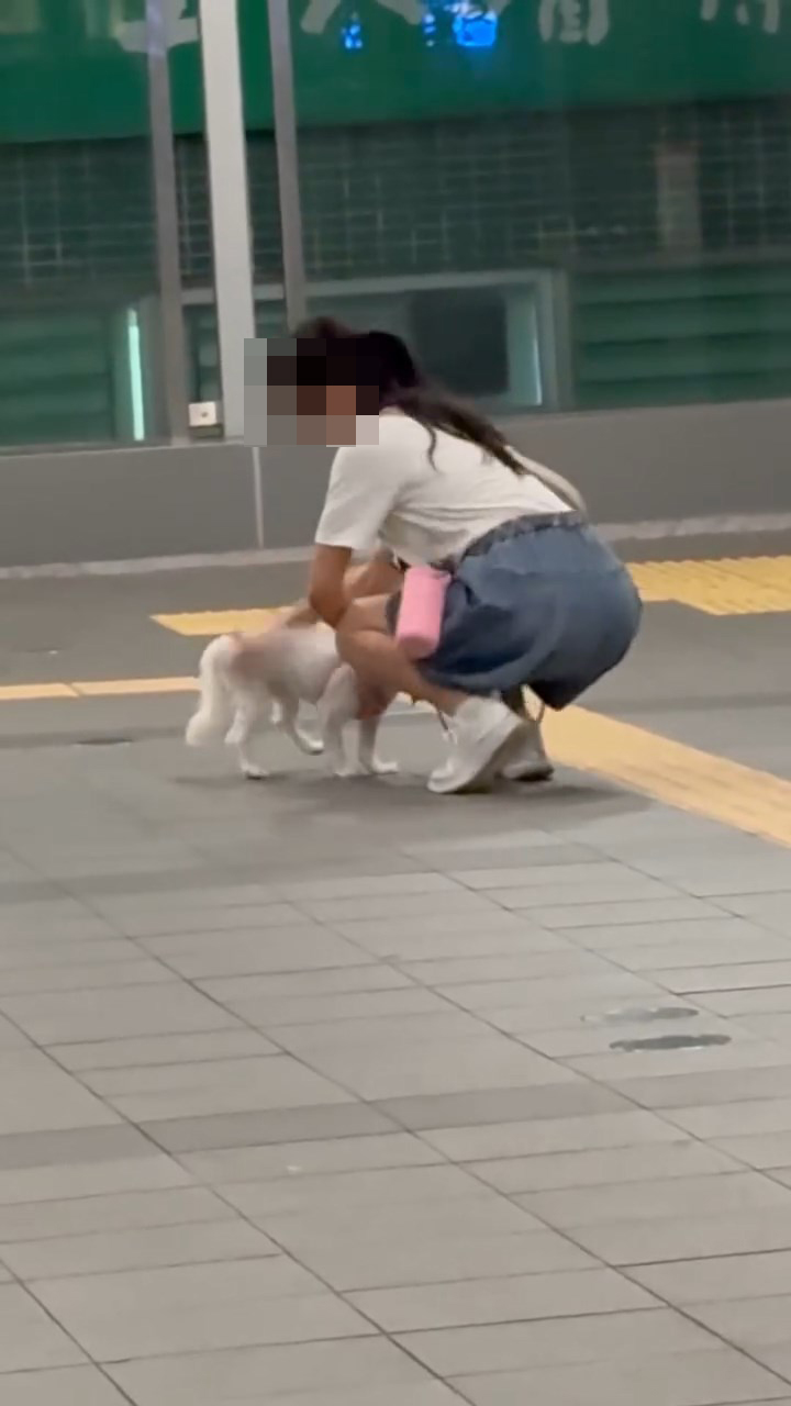 女子突然大力拍打狗狗身體至少4下。網上片段截圖