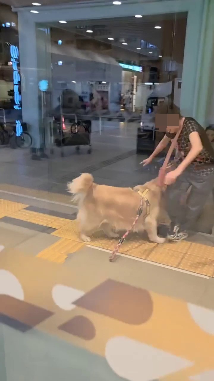 facebook截圖(資料來源:輝輝廖@facebook齊齊贏馬會 馬會出糧) facebook截圖(資料來源:輝輝廖@facebook齊齊贏馬會 馬會出糧)