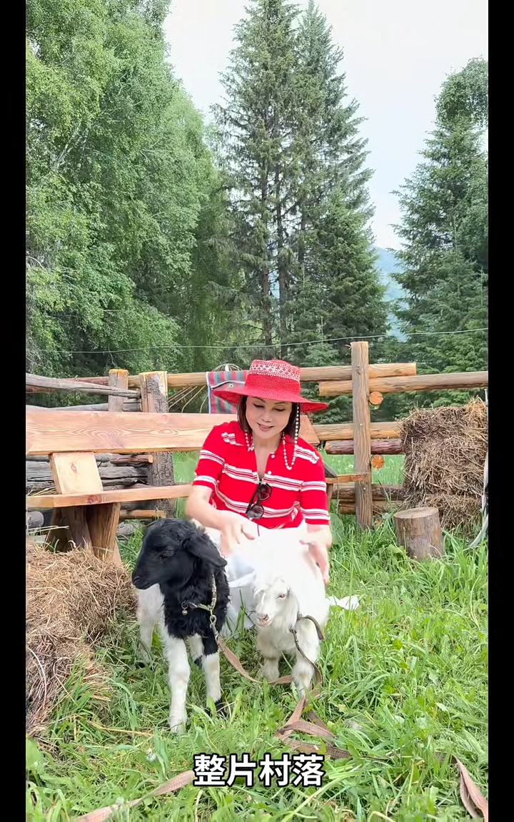 謝玲玲玩得很開心。