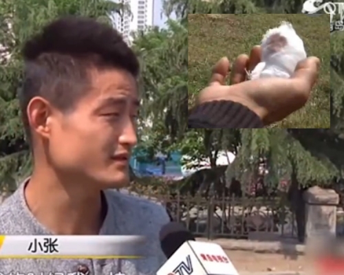 青島男自帶食物餵棕熊遭咬甩手指。網上圖片