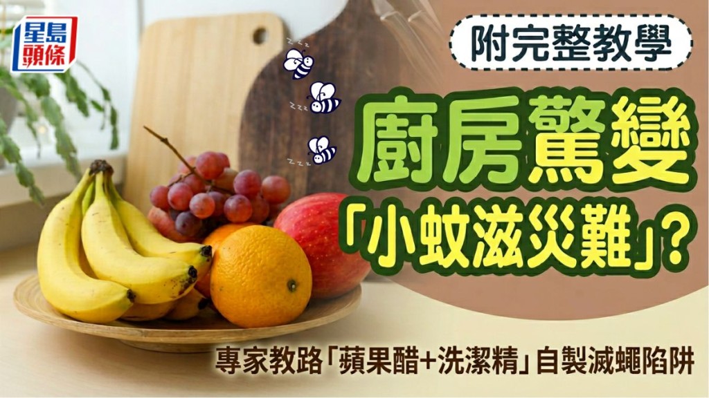 廚房驚變「小蚊滋災難」？專家教路「蘋果醋＋洗潔精」自製滅蠅陷阱 附完整教學