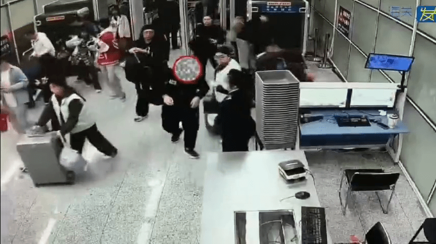 女子背包藏10活蜥蜴闯关被截查。