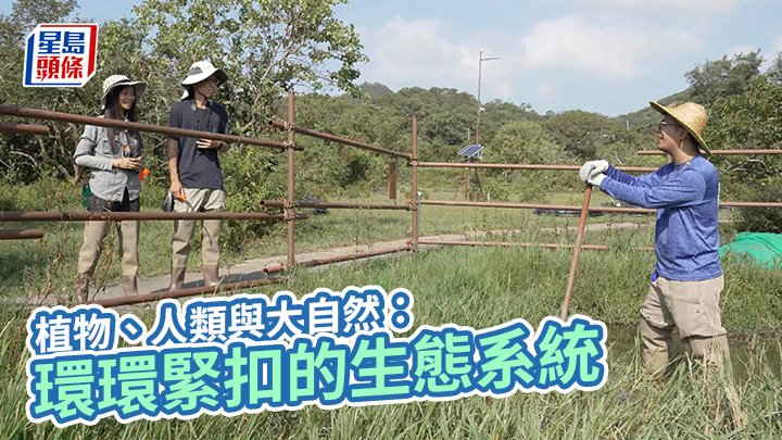 植物、人類與大自然：環環緊扣的生態系統 (香港電台提供)