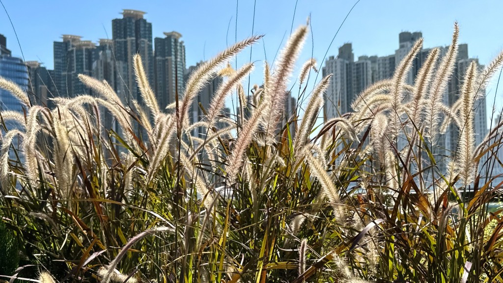 雷日昇攝
