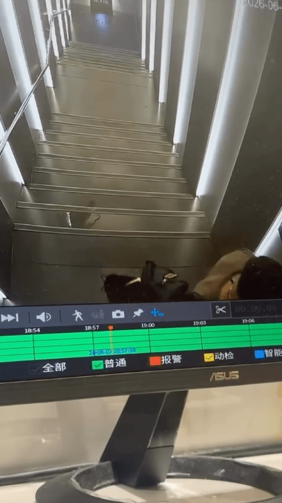 現場遺下一灘疑似黃色尿液。(影片截圖) 現場遺下一灘疑似黃色尿液。(影片截圖)