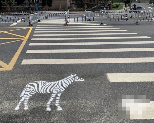 杭州一條斑馬線被噴上一隻斑馬圖案。杭州新聞中心圖片