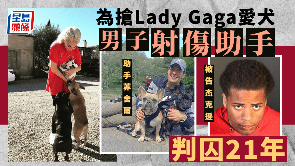 Lady Gaga 愛犬被搶案，涉案開槍男子被重判入獄 21 年。網圖/AP