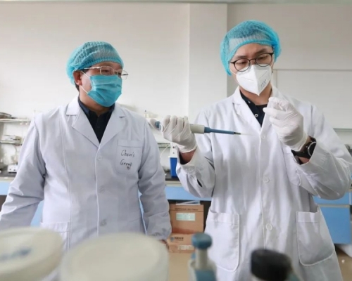 廣西桂林電子科技大學陳真誠教授率領的團隊研製出新冠病毒檢測試紙。