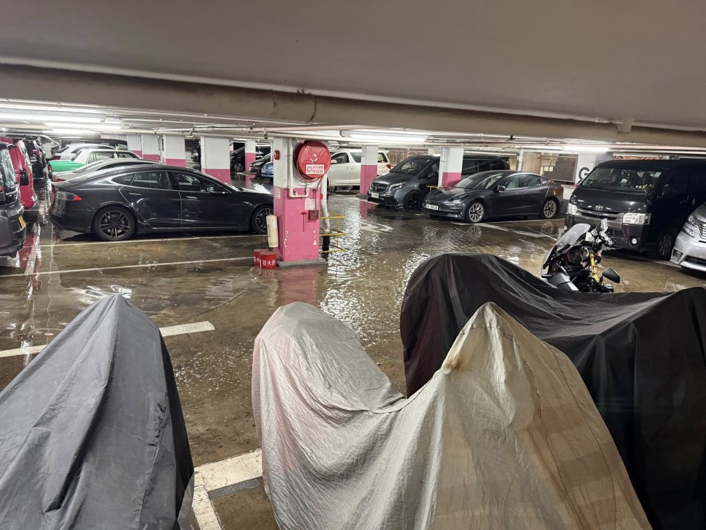 彩園邨停車場出現水浸。網上圖片 彩園邨停車場出現水浸。網上圖片