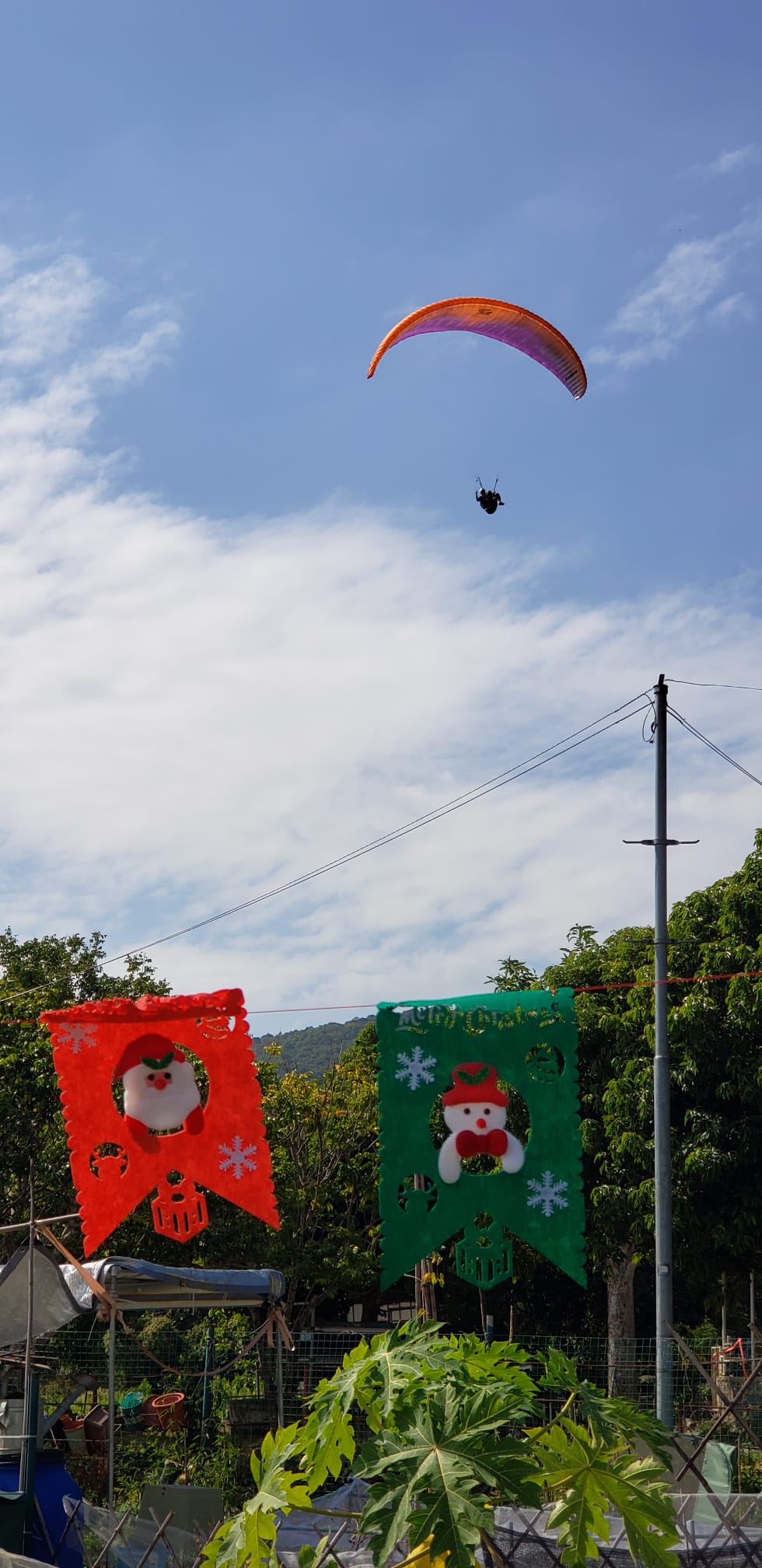 近一年經常有玩滑翔傘人士在農莊附近降落。（朱先生提供）