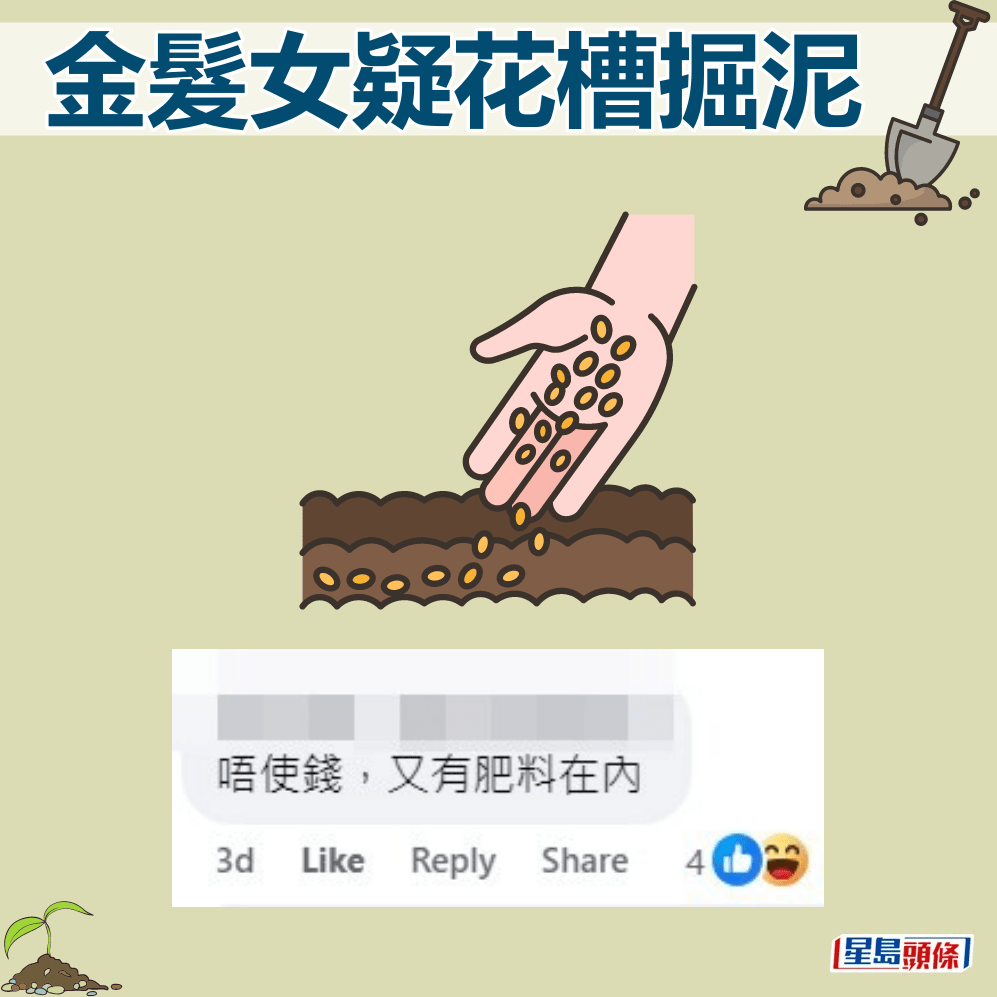 網民：唔使錢，又有肥料在內。fb「筲箕灣西灣河關注組」截圖