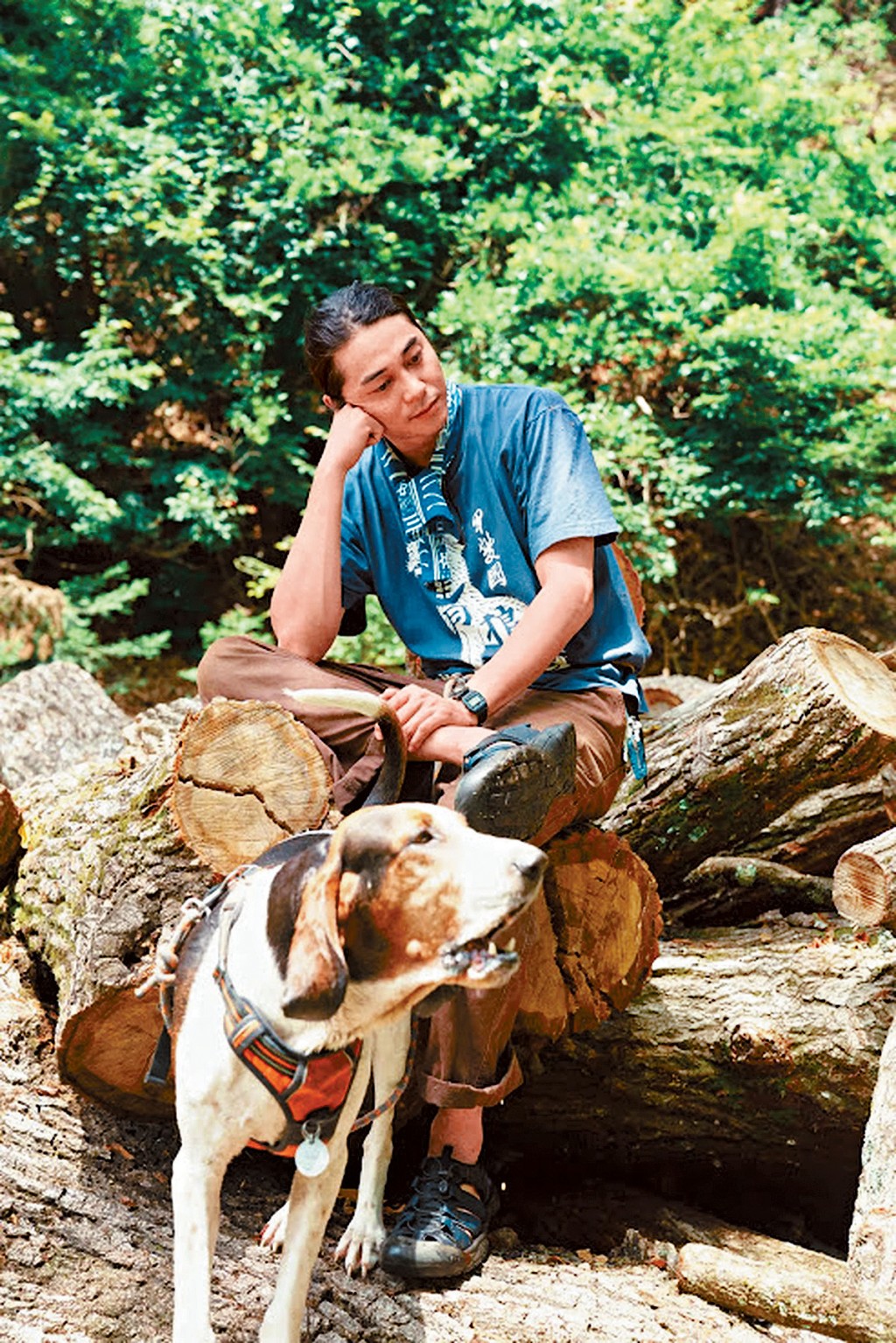 東出昌大近年隱居深山，他自言在山區從未遇過熊，指熊害是媒體渲染。
